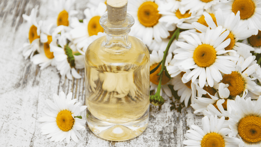 wottagirl perfume vanilla